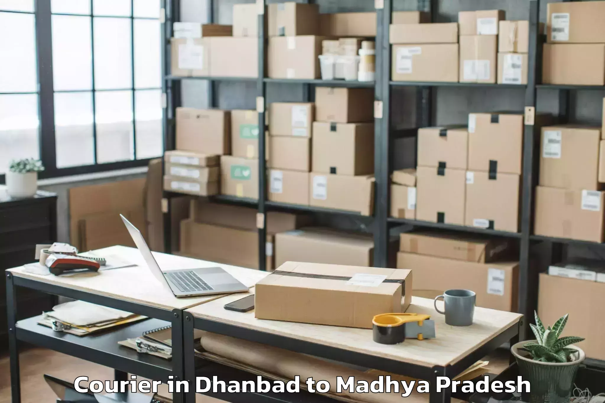 Easy Dhanbad to Maharaja Chhatrasal Bundelkhan Courier Booking